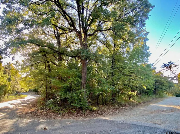 Loving Ln, Mabank, TX 75156