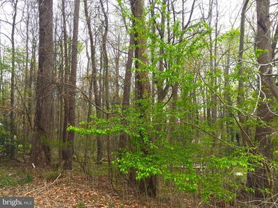 Margaret Ct, Mechanicsville, MD, 20659