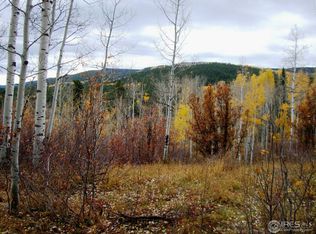 20925 Cheyenne Trl, Oak Creek, CO 80467