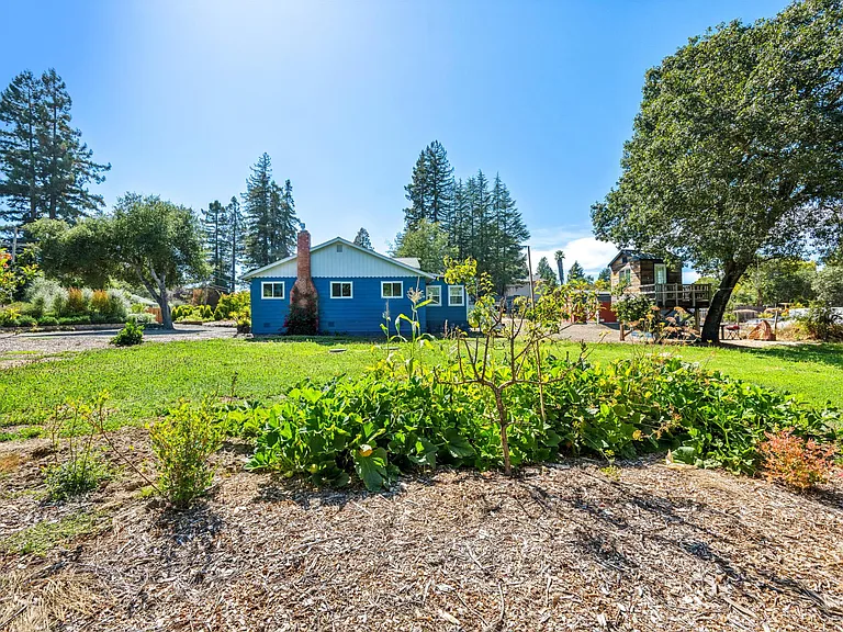 Garden and crimson clover yard