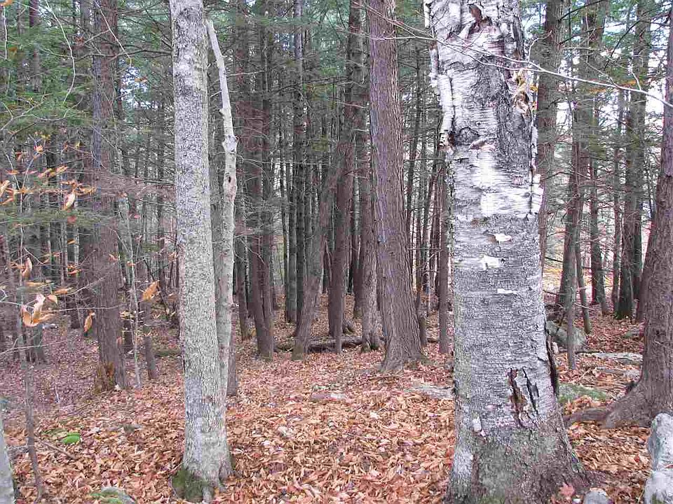 1st image of Lot 100 & 101 Scenic Vista Lane #100 & 101