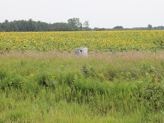 2nd image of 0 State Highway 219 NE