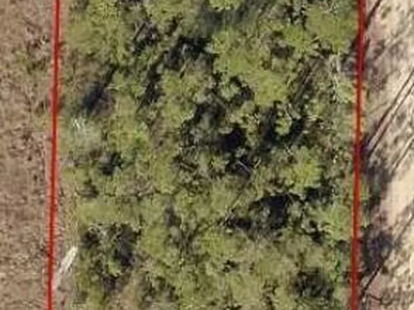 0 Forest Dr, Fountain, FL 32438
