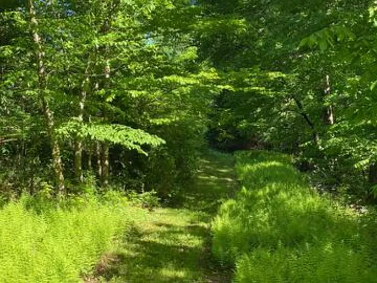 Private walking, biking trails on the property