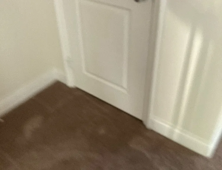 19123 Alexa Ln — Photo 10