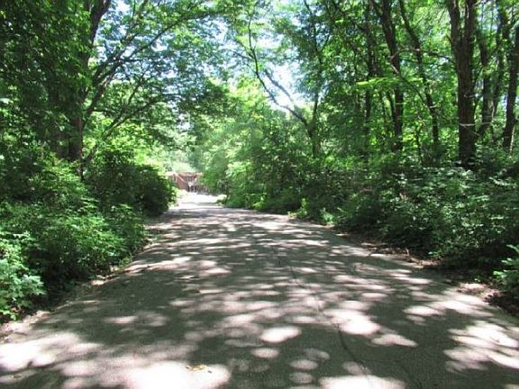 Exterior Neighborhood (street photo)