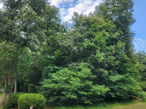 L-36 Cochise Rd #B, Cherokee Village, AR 72529