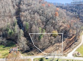 1 Lotus Dr #&-2, Sylva, NC 28779