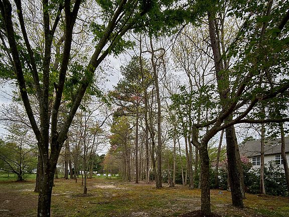 3rd image of 2403 Grassy Hollow Dr