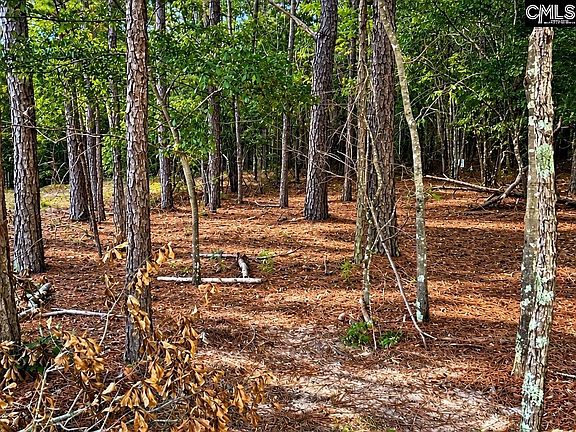 3rd image of Tbd Lot B Beaker Rd