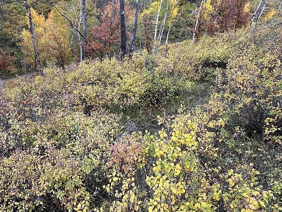 4th image of Aspen Dr Lot 439