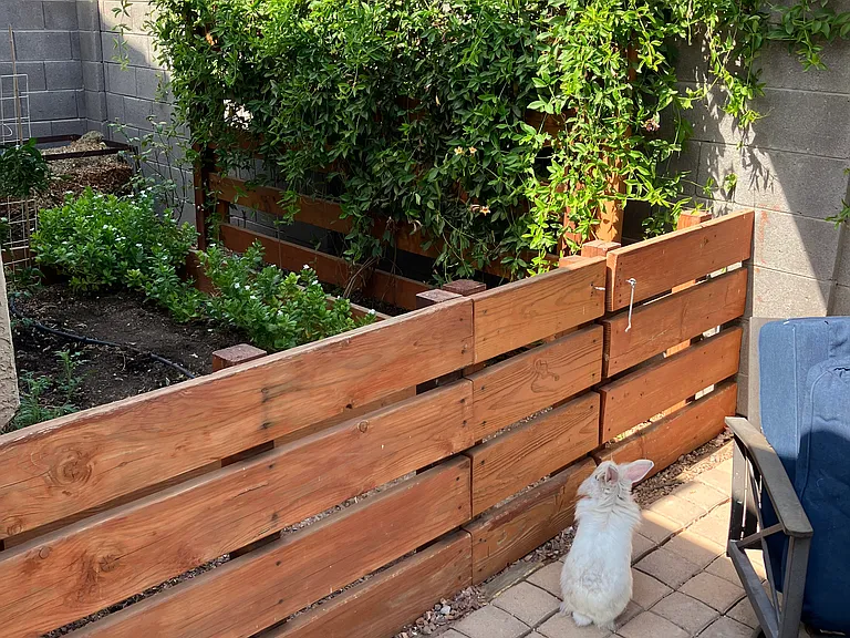 Optional Garden