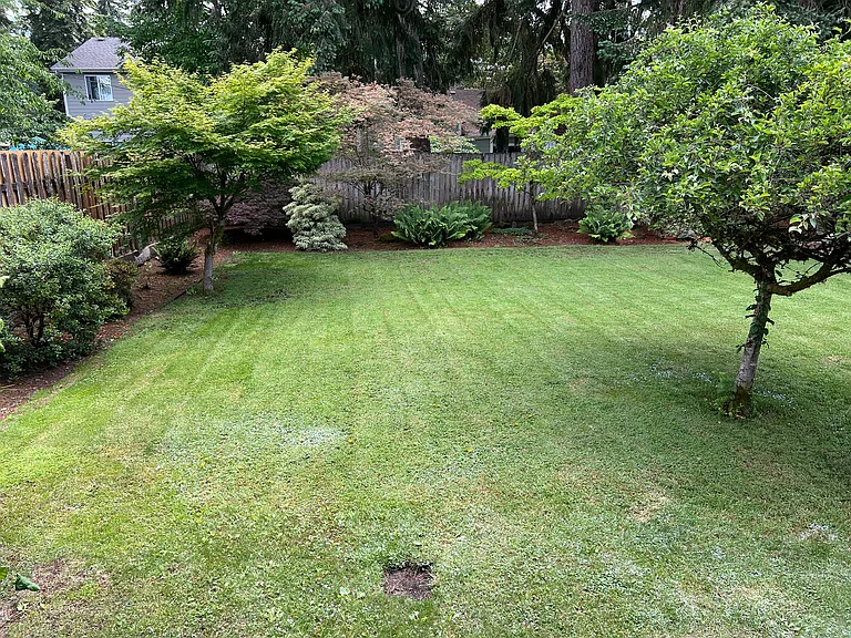 9112 Highland Ave SW — Photo 3