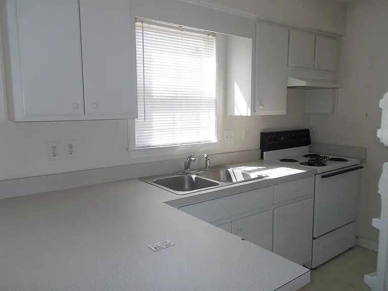 105 White Ash Ln — Photo 3