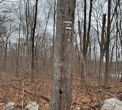 3rd image of 5 Gould Rd