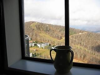 (Living Room Window)
