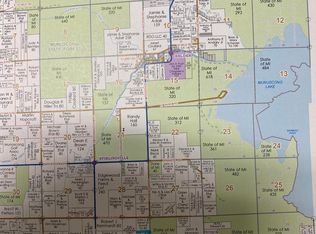 0 E Gogomain Rd, Pickford, MI 49774