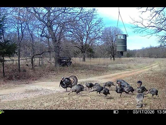 2nd image of 5-20 Ranch