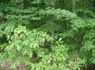 262 Saint George Dr, Fairfield Glade, TN 38558