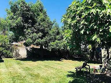 3125 Prospect Ave — Photo 3