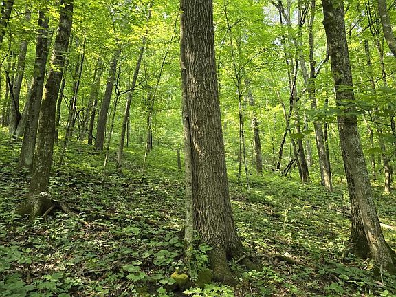 4th image of 47298 Honey Farm Road