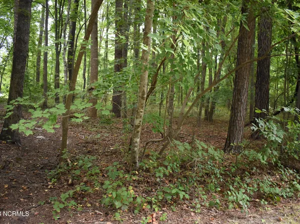 Lot 42 Cottonwood Drive, Blounts Creek, NC 27814