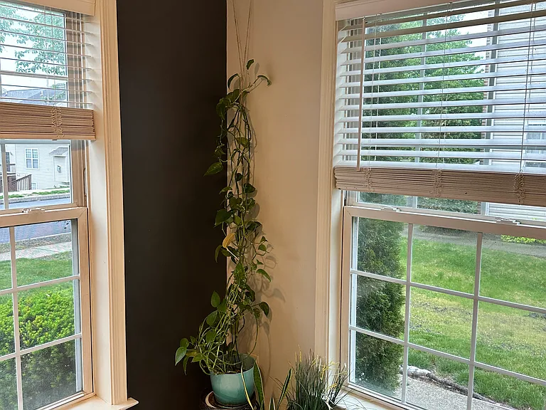 1209 Cross Creek Dr — Photo 35