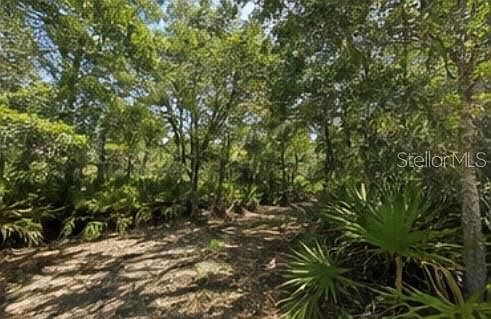 3rd image of 1231 CAMILO STREET LOT 16