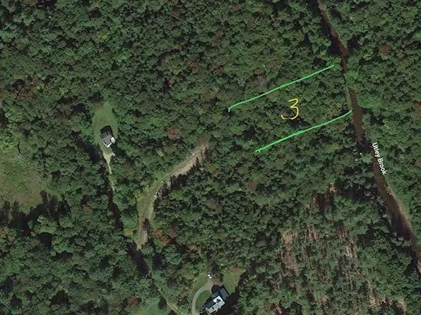 191 Pingree Park Lane, Londonderry, VT 05148