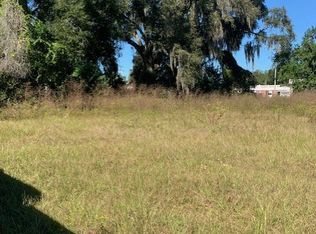 136 SW San Pedro Ave, Mayo, FL 32066