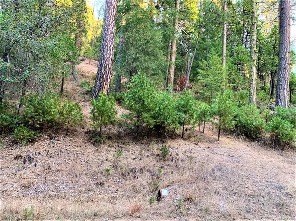 1901 Lily Valley Cir, West Point, CA 95255