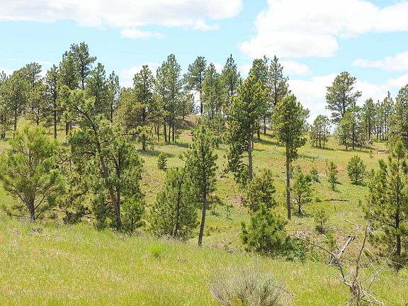 3rd image of Nhn 79 Trail Rd W