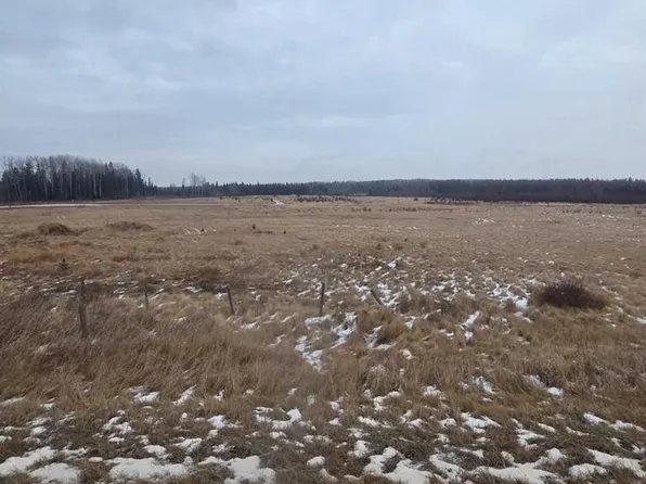 LOT 3 Range Road 175, Yellowhead County, AB T7E 3M4