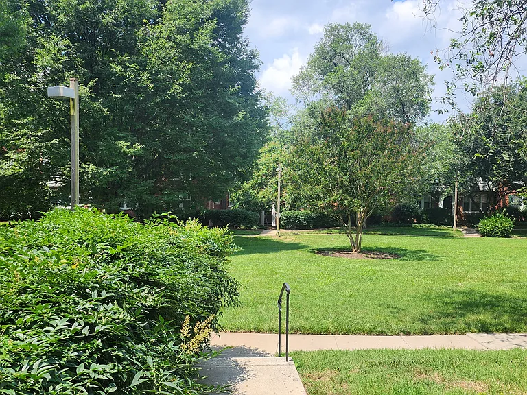 Front Yard