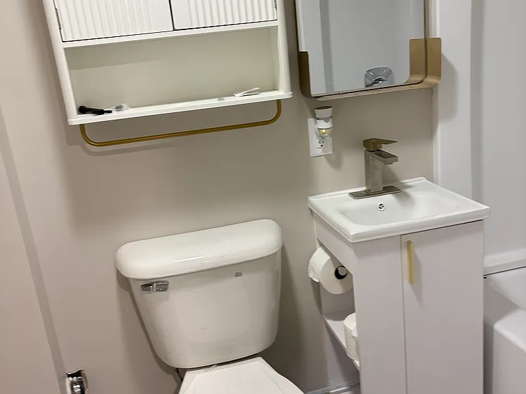 Guest full bathroom