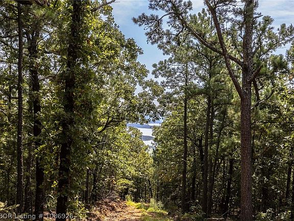3rd image of Wolf Mountain Rd