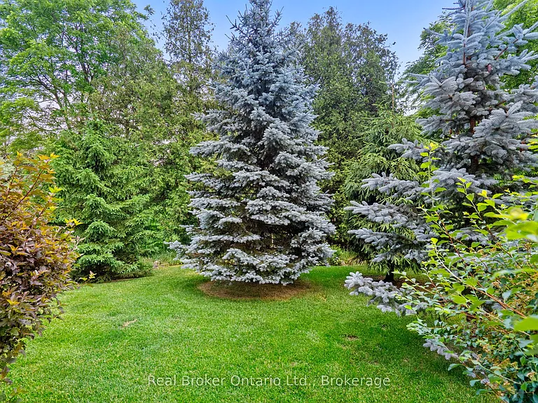 221 Millview Ct — Photo 42
