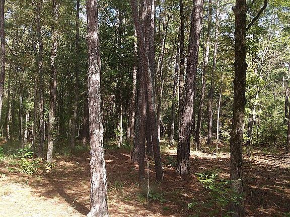 2nd image of 325 Annie Laurie Dr