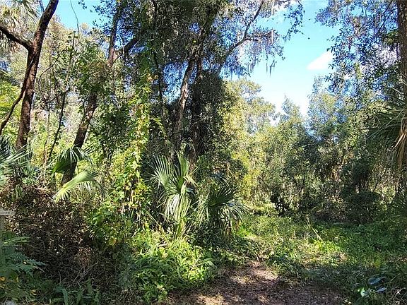 5th image of Lakeview St Lot 7