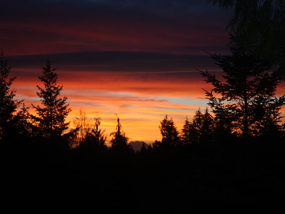 Valentine's Day Sunrise