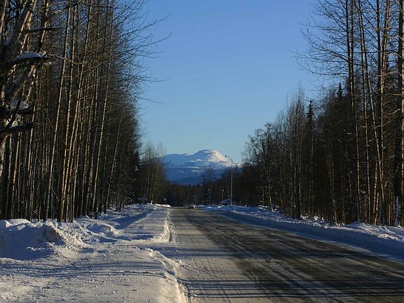 Petersville Road