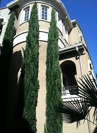 1st image of 536 Altino Blvd
