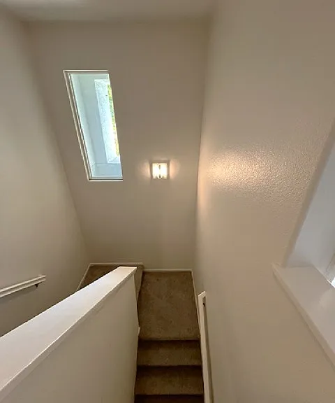 3180 Cabrillo Bay Ln — Photo 26