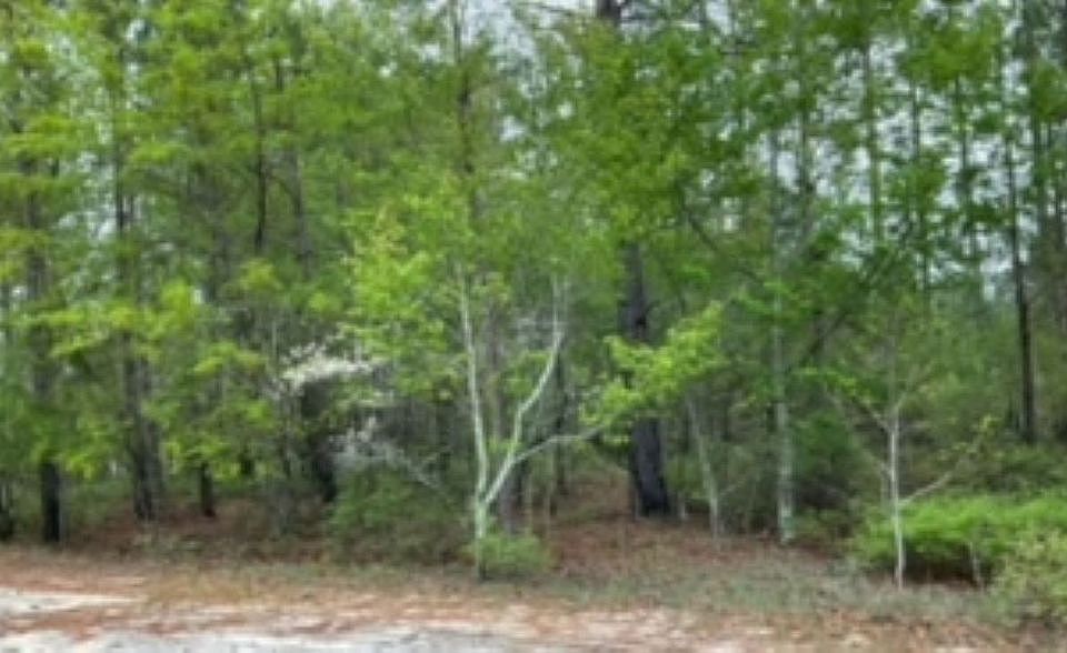 Corner Lot #136 