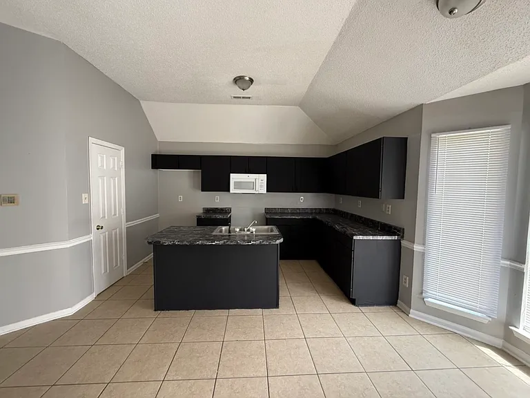 5395 Chinkapin Oak Cv — Photo 5