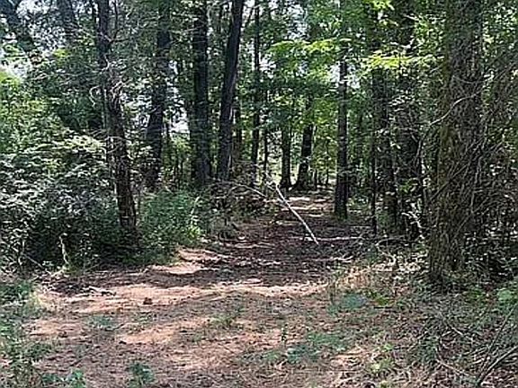 5th image of 4529 Parker Ln #20