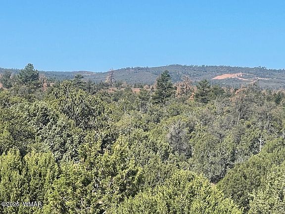 5th image of 1751 Forest Service Rd #163