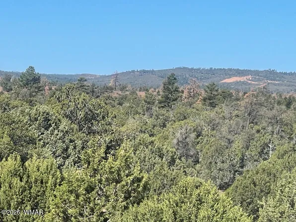 1751 Forest Service Rd #163, Clay Springs, AZ 85923