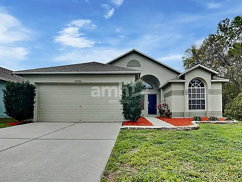 30734 Midtown Ct Photo 1