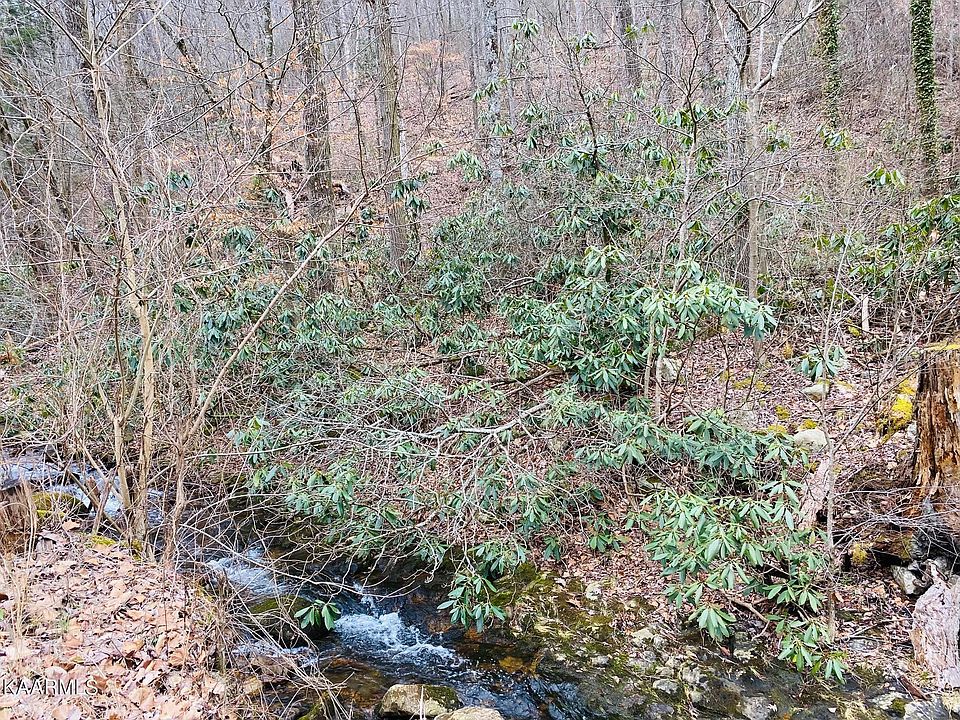 1st image of Carson Springs Rd